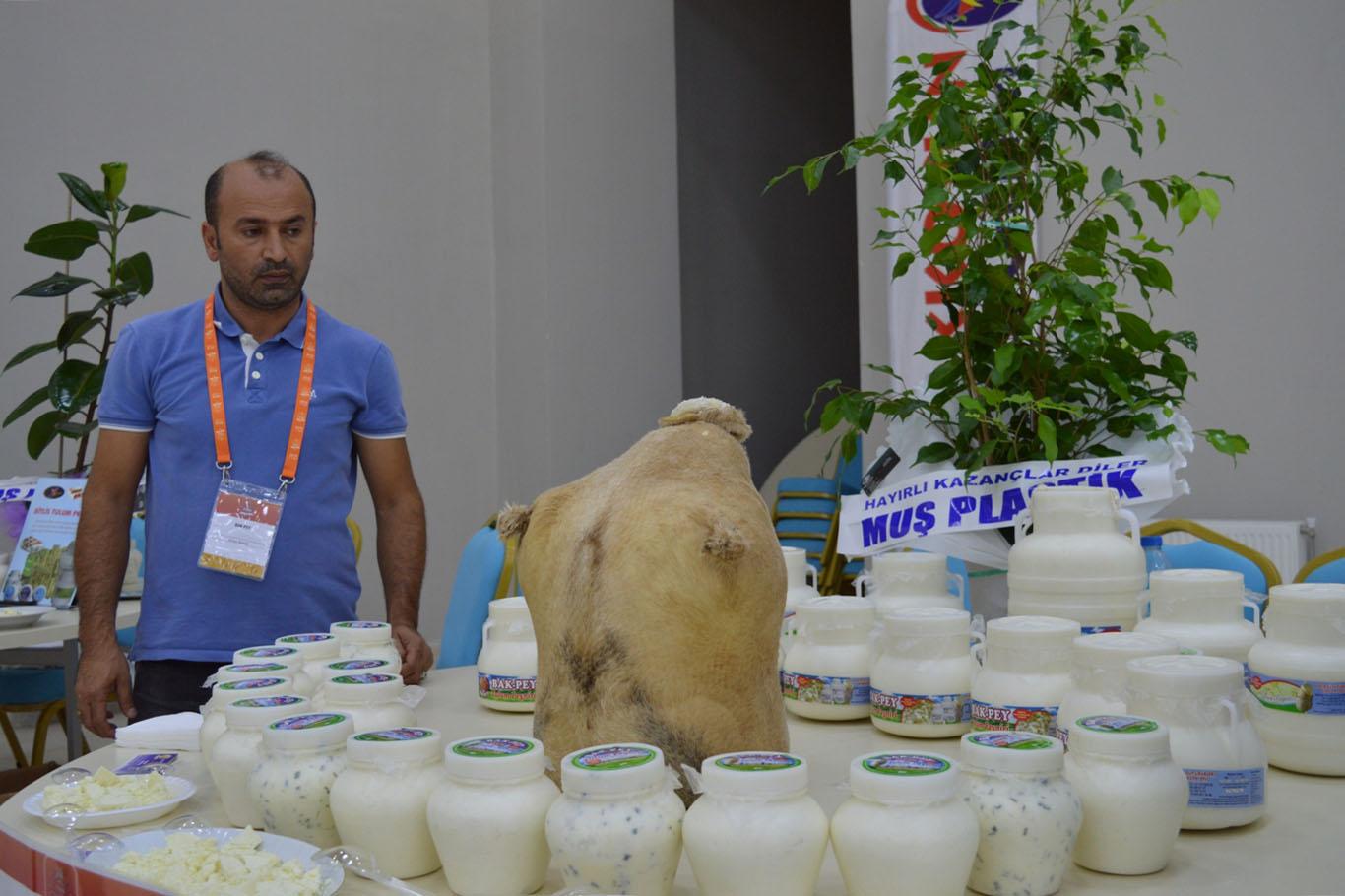 "Tulum peynirinin asıl anavatanı Bitlis’tir" "Tulum peynirinin asıl anavatanı Bitlis’tir"